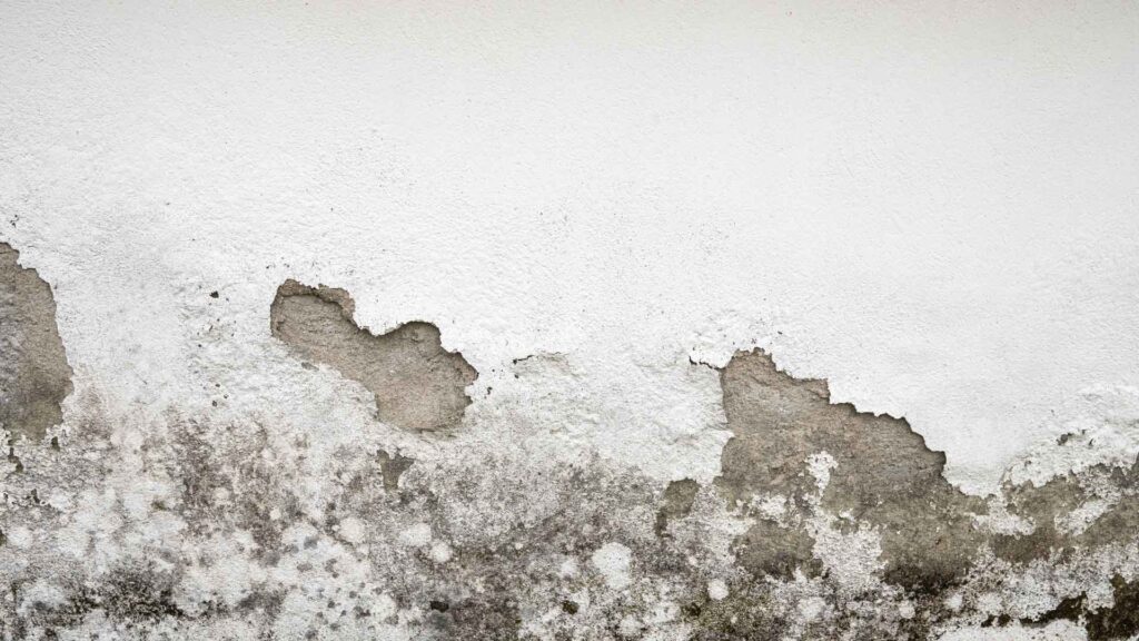 All Star Painting Company